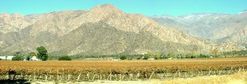 Contact-metamorphic Hornfels facies in the foreground, intrusive Lower Paleozoic granitoids and migmatite rocks in the right background Cafayate Wine yards (Argentina