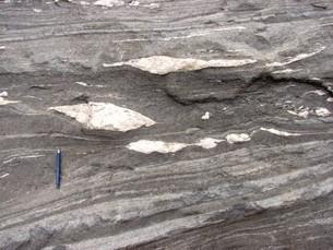  Subhorizontal shear zones devolped in high-grade amphibolite facies. Sierra de Quilmes, Argentina