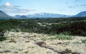 Shield volcano, Island