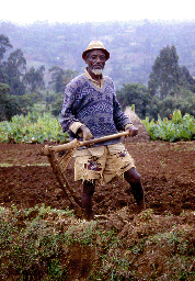 Farmer in the Gina River catchment