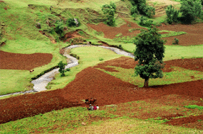 The Gina river in Ethiopia