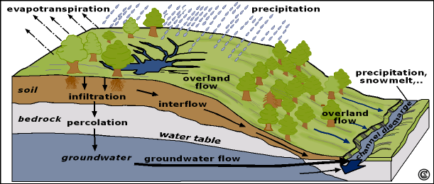 The hydrological cycle