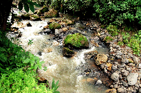 Tributary of the Gina River