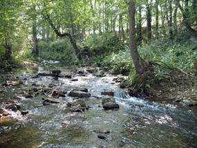 Flöha watershed located in the border area of Germany and Czechia