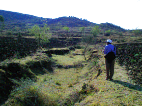 Simple check dams contructed along gully systems in the colluvial zone of watershed of Dana dam, Ethiopia