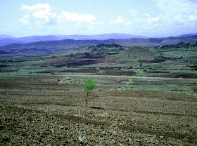 Earth benches in the watershed of Dana dam, Ethiopia. Earth benches are important soil and water conservation measures implemented often in WM
