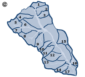 Subbasins of the Gina River catchment (17)