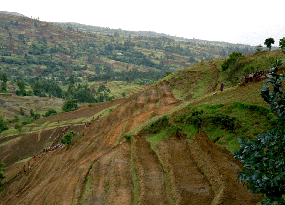 The Gina River catchment is intensively used by agriculture