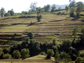 Constructed terraces to conserve soil and water in the Gina River catchment