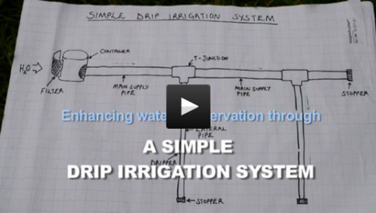 IWM training videos - Drip irrigation system