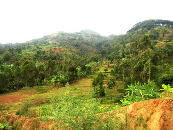 The Manafwa subcatchment in western Uganda