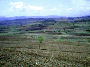 Earth benches in the watershed of Dana dam, Ethiopia. Earth benches are important soil and water conservation measures implemented often in IWM