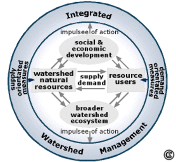 Processes which influence IWM