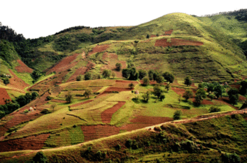 Agricultural use on steep slopes in the Gina River catchment