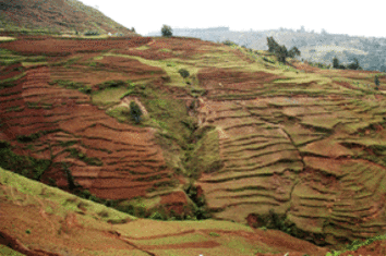 Severe soil erosion damages on agricultural land in the Gina River catchment