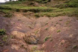 Degraded soil in the Gina River catchment