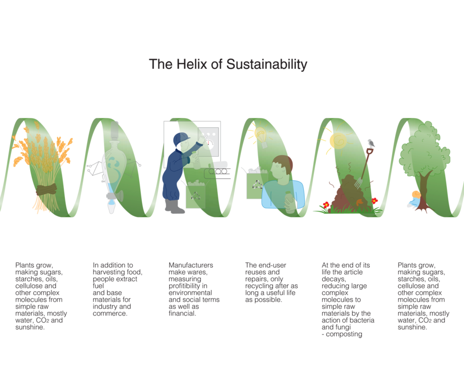 The helix of sustainability