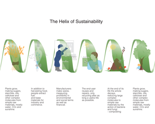 The helix of sustainability