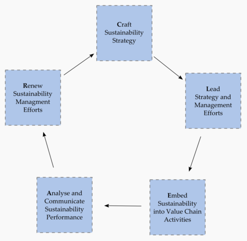 Sustainability strategy and management