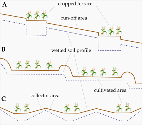 Conservation bench terraces (A, B) and shaping of runoff and run-on areas (C)