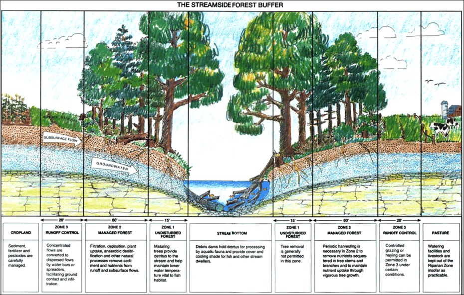 Streamside buffer zones of different functionality