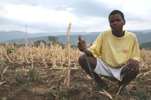 Drought in Ethiopia