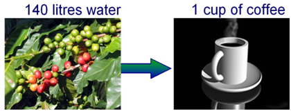 Water consumption to produce one cup of coffee