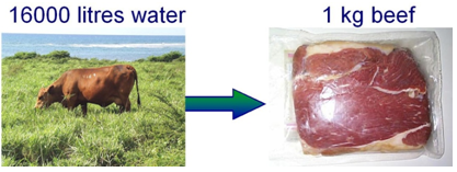 Water consumption to produce one kg beef