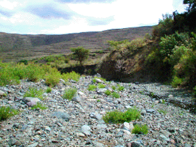 River bed of Adirako showing severe bank erosion in alluvial and colluvial infills; watershed of Adirako Dam in Ethiopia