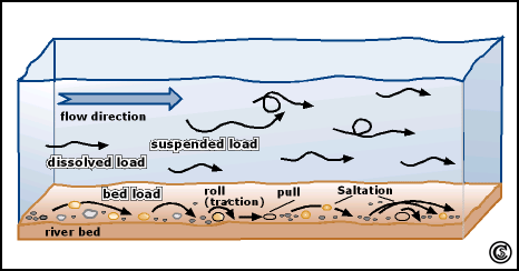 Different transport mechanisms occuring in a river