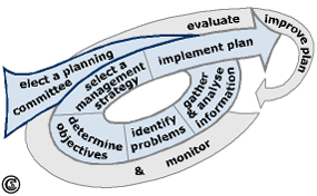 Election of a planning committee