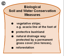 Selection of biological soil and water conservation measures applied in WM
