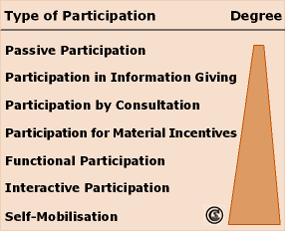Types and degree of participation