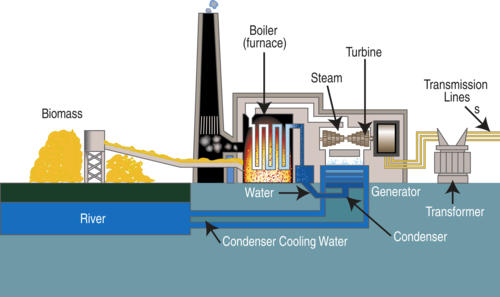 Biomass fired power plant diagram