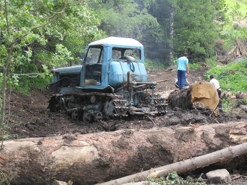 Biomass material, Kazakhstan