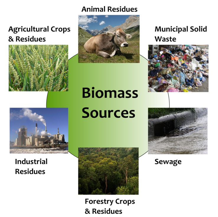 Biomass sources