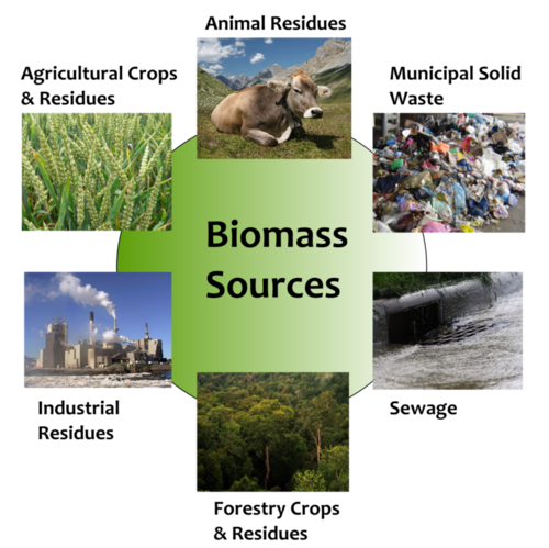 Resource biomass • Learning Content • Department of Earth Sciences