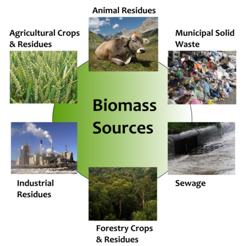 Biomass sources