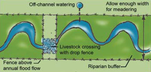 Thematic sketch of buffer zone