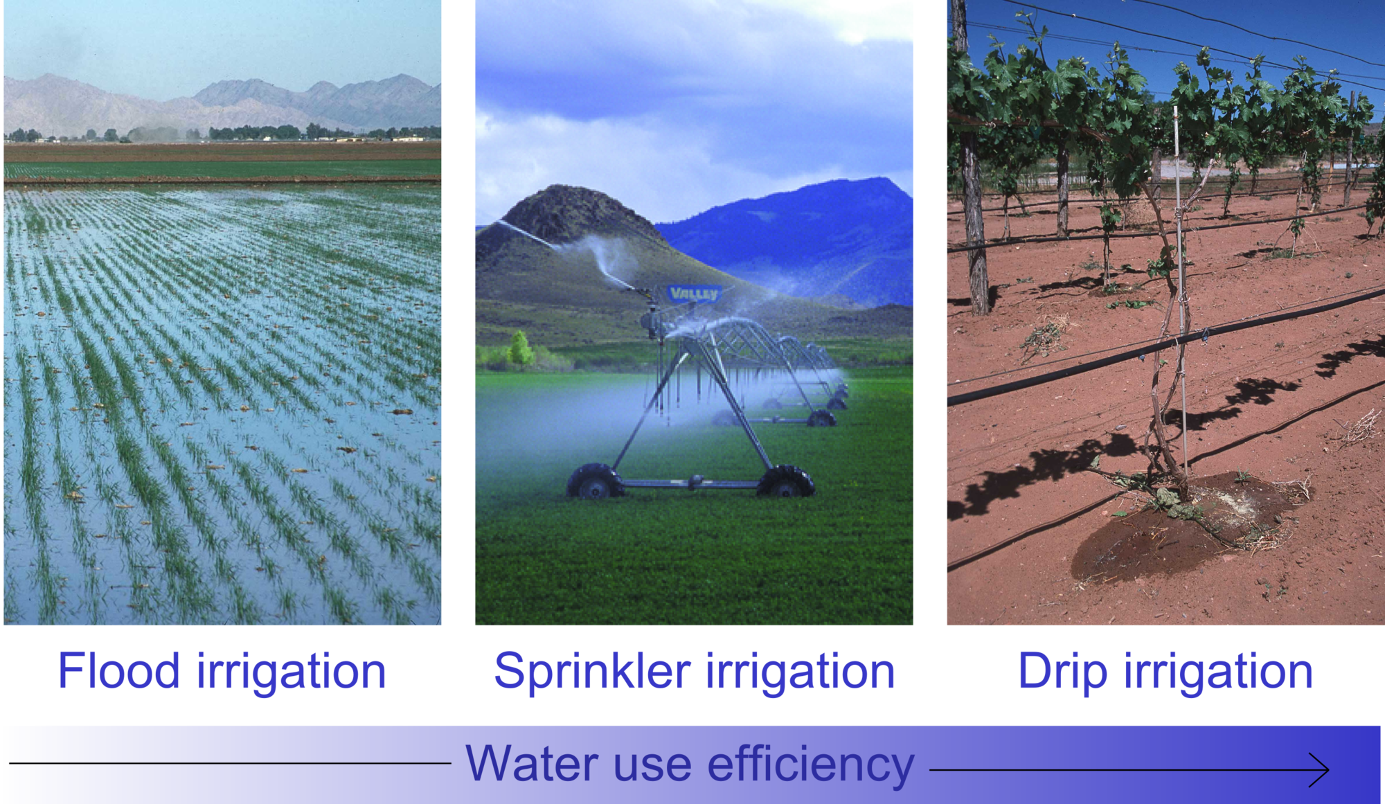 Irrigation efficiency