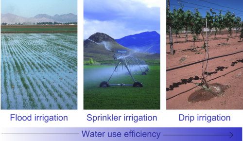 Irrigation efficiency