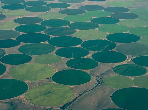 Fields with centre pivot irrigation