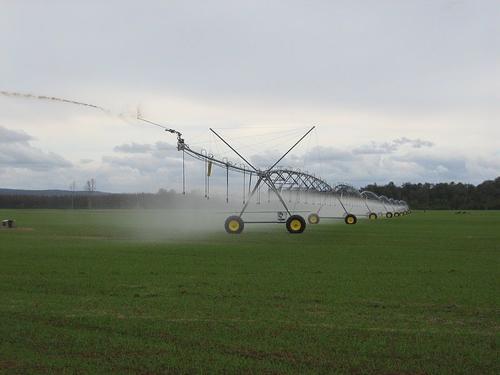 Pivot irrigation (linear move)