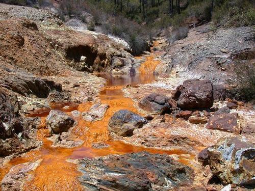 Acid mine drainage causes severe environmental problems in the Rio Tinto (Spain)