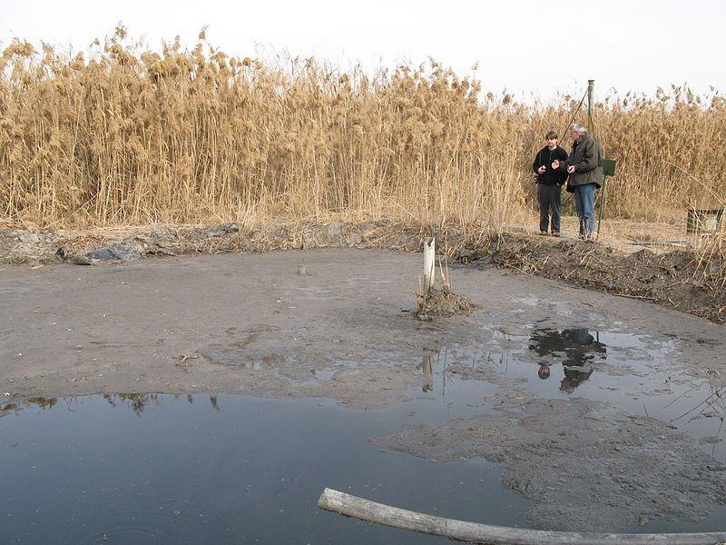 At the front you can see the sludge pipe from the primary settling tank