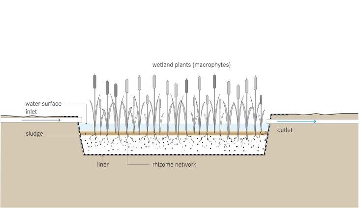 Schematic of a free-water surface constructed wetland