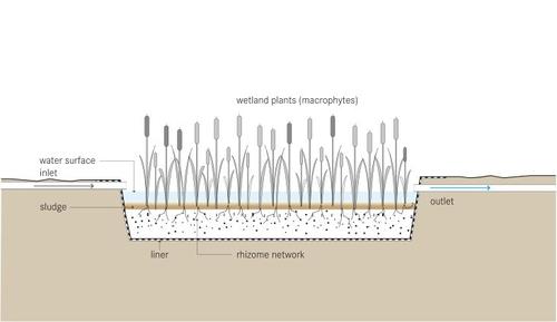 Schematic of a free-water surface constructed wetland