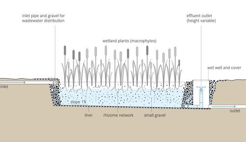 Schematic of the Horizontal Subsurface Flow Constructed Wetland