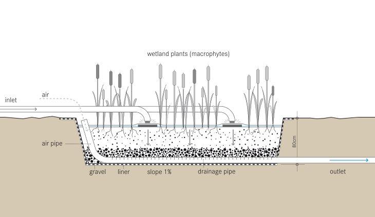 Schematic of the Vertical Subsurface Flow Constructed Wetland