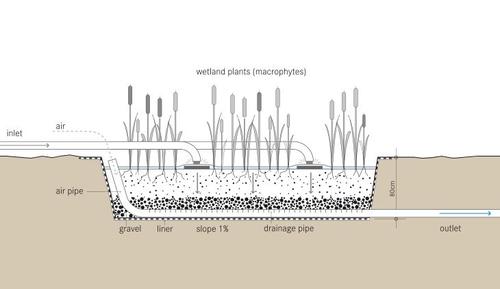 Schematic of the Vertical Subsurface Flow Constructed Wetland